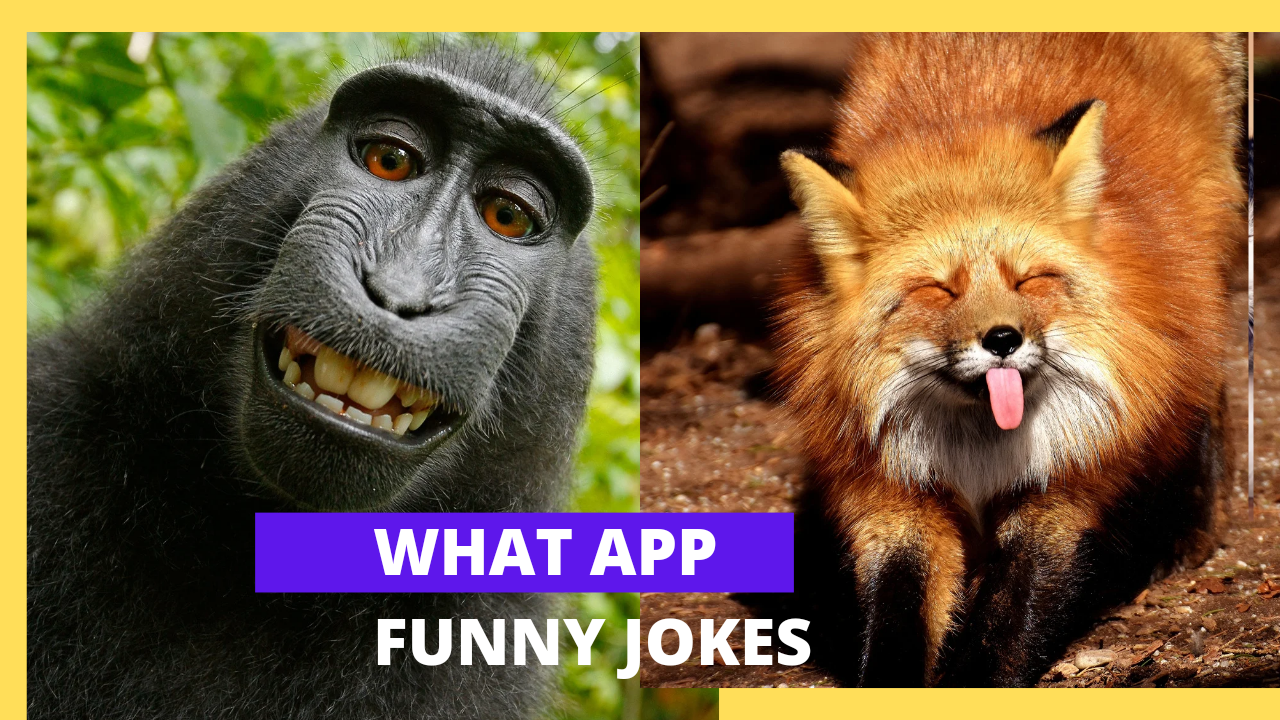 What app funny jokes in Hindi